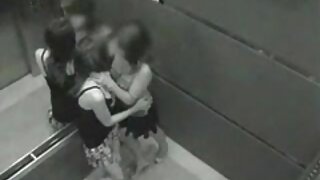 Dugonogi ladyboy se osjeća lijepo zbog brutalnog psećeg analnog udaranja od strane Spencera Foxa